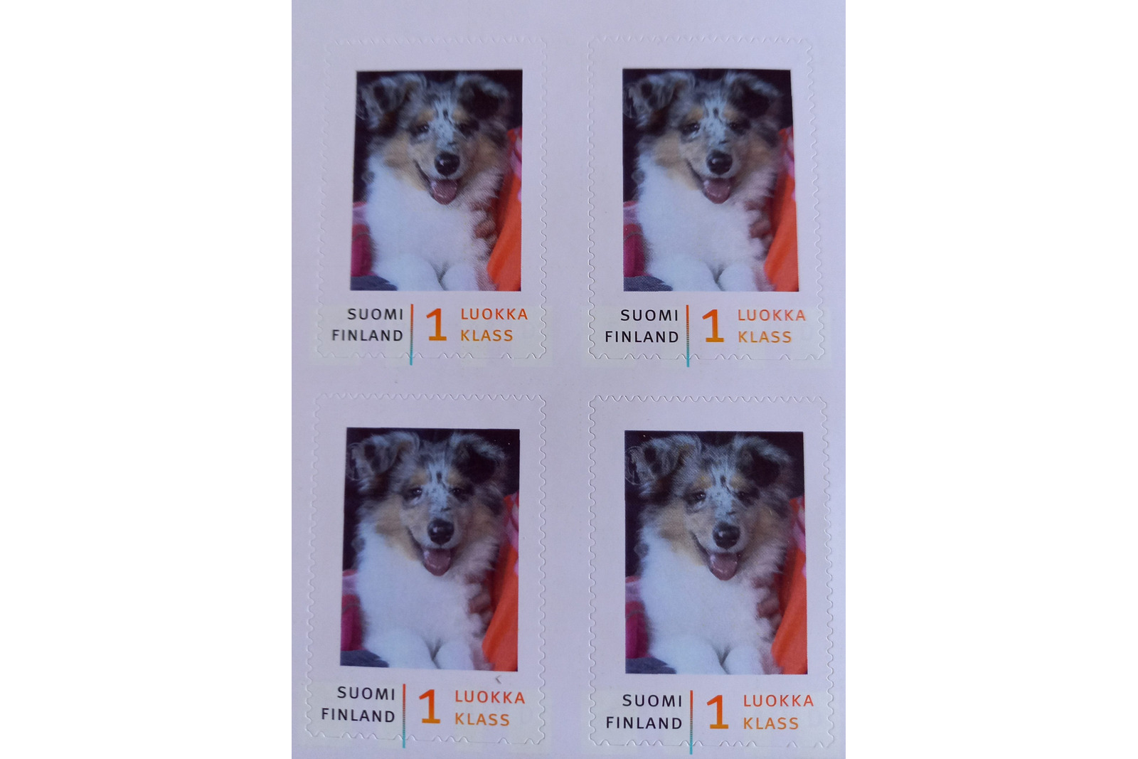 Neljän postimerkin arkin postimerkin kuvassa on Collie-koiranpentu.