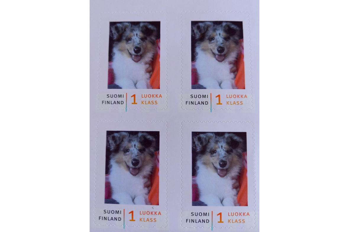 Neljän postimerkin arkin postimerkin kuvassa on Collie-koiranpentu.