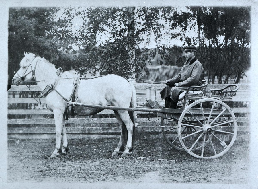 sisällön kuvaus: Multian postinkuljettaja Kalle Mäkelä 1920-luvulla.