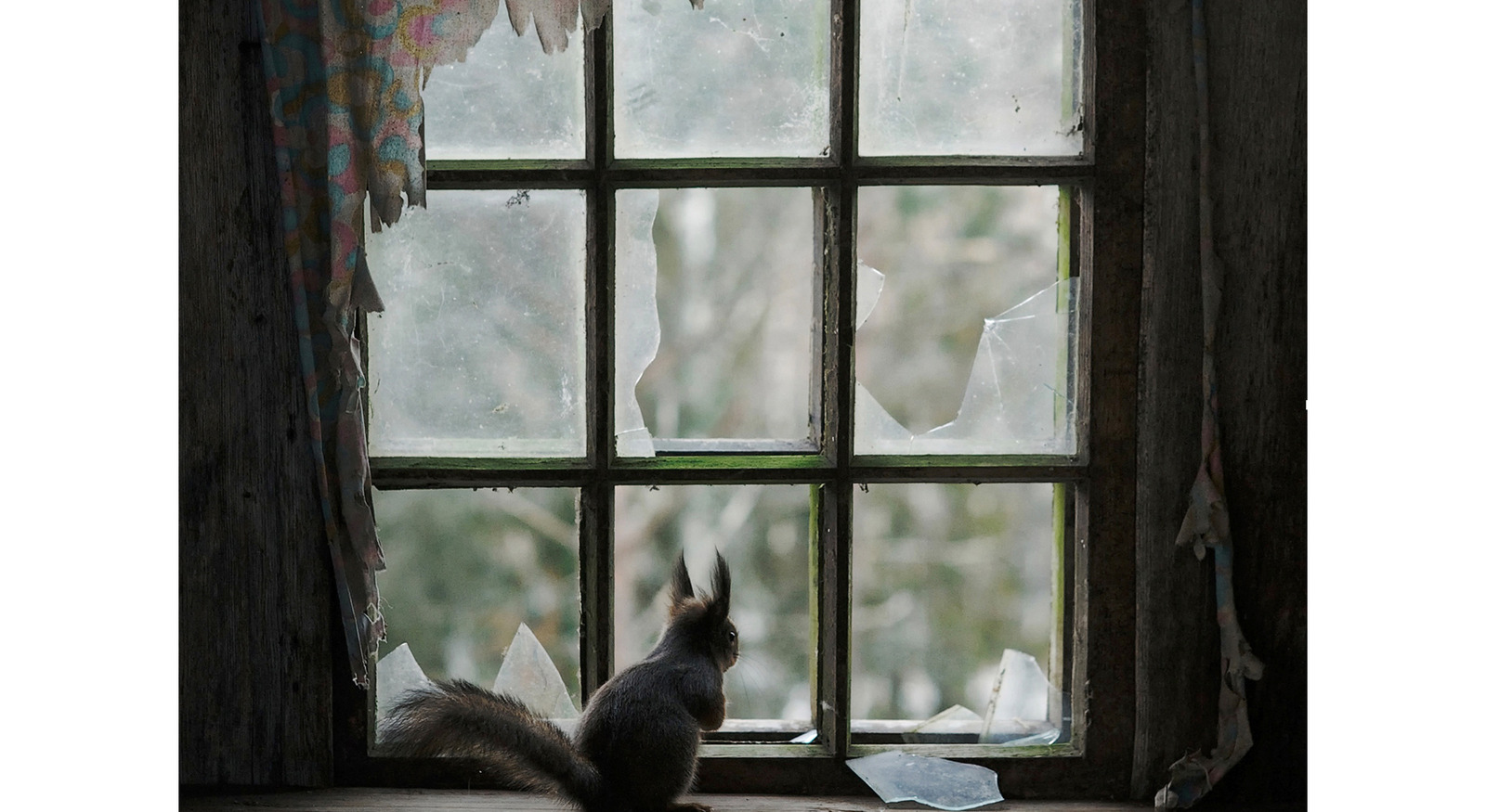 Kuva: Kai Fagerström National Geographic Magazine: Once Upon a Home, 2012
