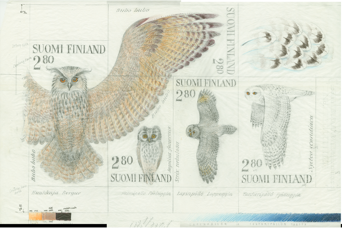 Erilaisia käsin piirrettyjä pöllöjä.