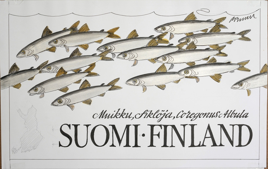 Piirustuksessa onparvi pieniä kaloja uimassa.