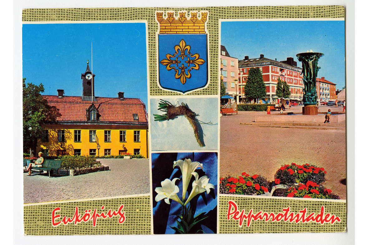 Vaakamallinen postikortti, jossa on kuvakavalkadi Enköpingin vaakunasta, raatihuoneesta, Stora Torgetin suihkulähdeveistoksesta, piparjuuresta ja kolmesta liljasta. Alla tekstinä painettuna Enköping Pepparrotsstaden.