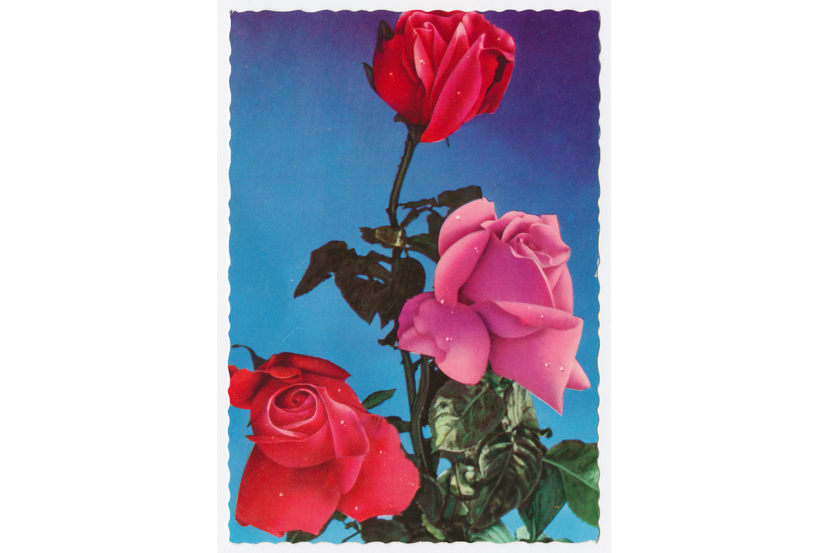 Pystytasoinen postikortti, jossa on kolme ruusua valokuvattuna.