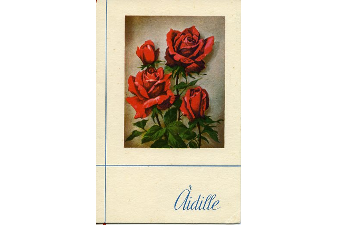 Pystytasoinen postikortti, jossa on yläoassa ruusujen kuva valkoisella taustalla. Sininen viiva menee pysty- ja vaakasuunnassa. Alhaalla painettuna teksti äidille.