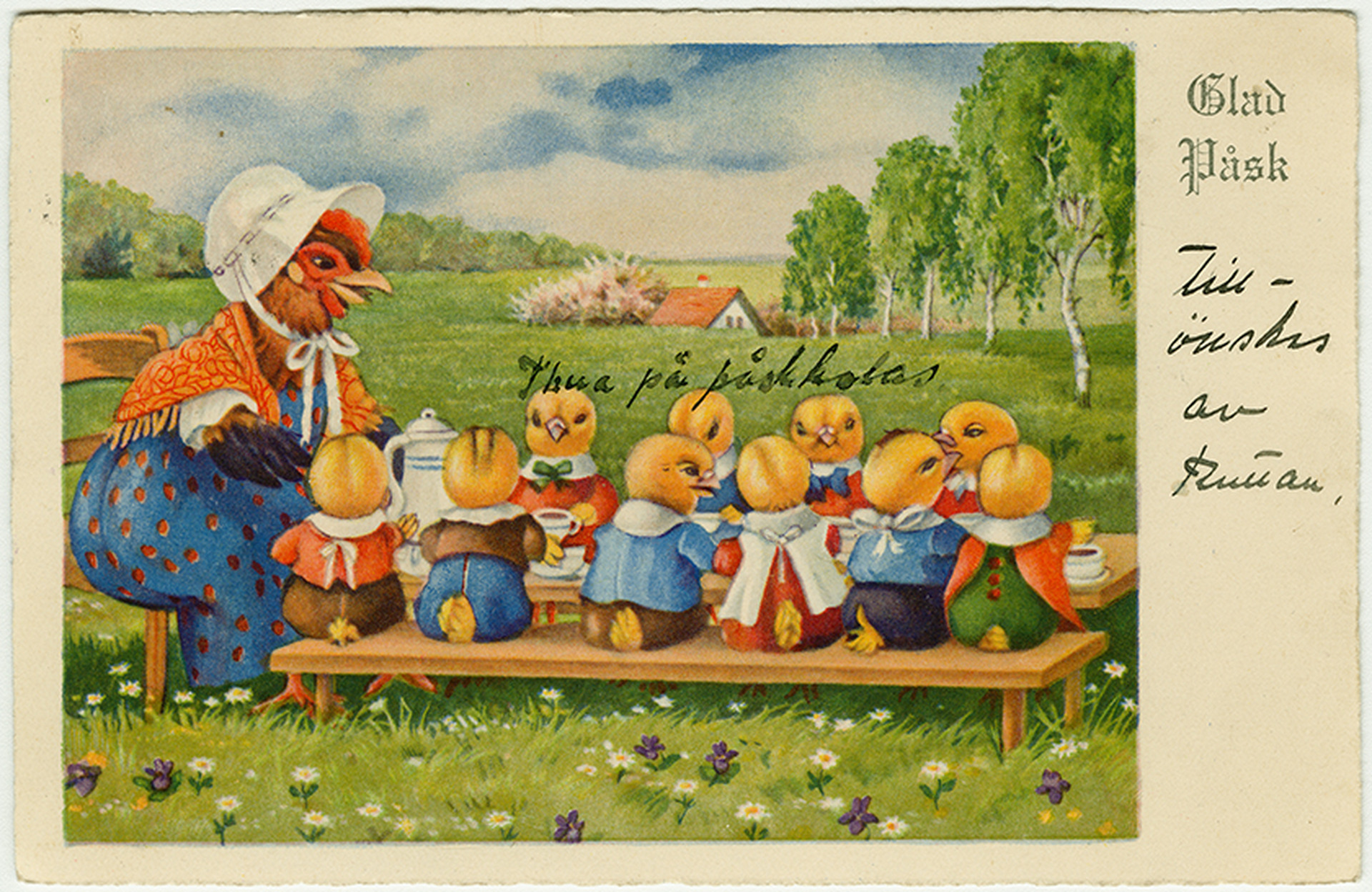 paasiainen002-2
