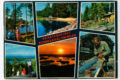 Vaakamallinen postikortti, jossa on kuudessa vinossa olevissa neliössä kesäluontokuvia,. Kolmessa kuvassa ihmisiä,. Keskellä tekstinä Kesäterveiset Sommarhälsningar.