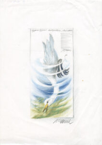 Erik Bruunin piirustus, jossa on laulujoutsen etsimässä ruokaa järvestä pää veden alla.