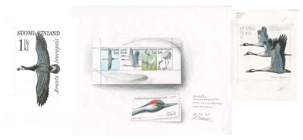 erilaisia Erik Bruunin piirtämiä lintuja luonnoksessa.