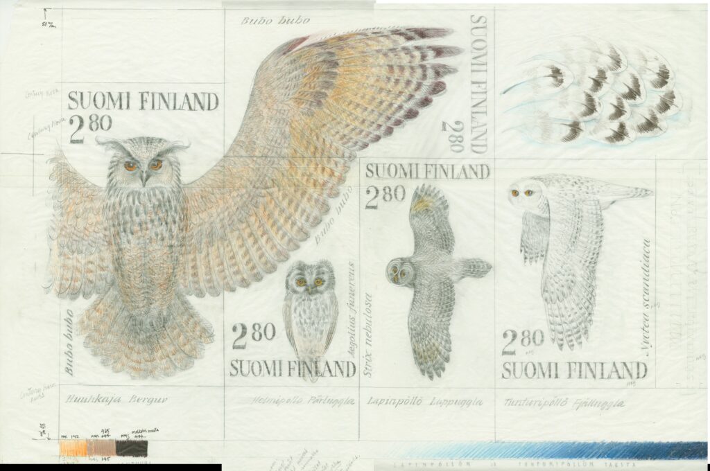 paperille piirrettynä iso huuhkaja siivet levitettynä, mutta toinen siipi ei näy. Pienempinä piirustuksina kolme muuta pöllöä ja sulkia.